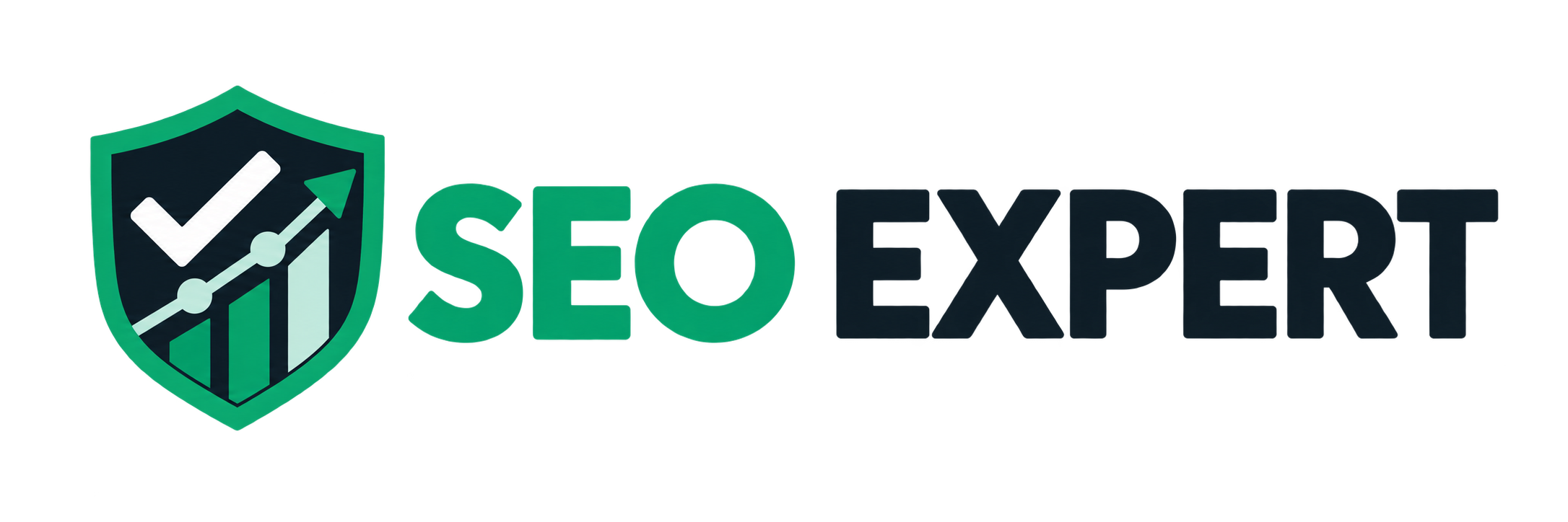 SEO Expert